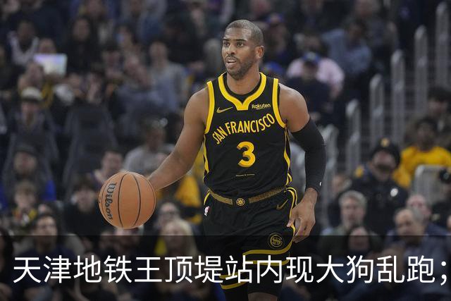 天津地铁王顶堤站内现大狗乱跑；地铁回应：应该是流浪狗；乘客疑惑：它咋过的安检？
