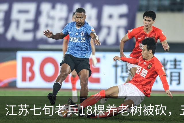 江苏七旬老兵18棵养老树被砍，五次赴省反映后被送派出所