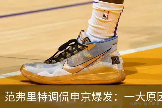 范弗里特调侃申京爆发：一大原因是我复出归来